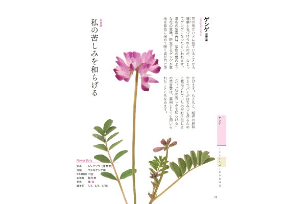 楽天ブックス ちいさな花言葉 花図鑑 野の花 道の花編 佐々木 知幸 本 楽天ブックス ちいさな花言葉 花図鑑 野の花 道の花編 佐々木 知幸 本